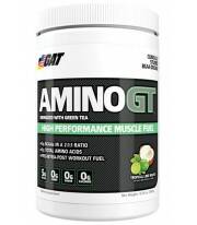 Amino GT de Gat 300 gramos