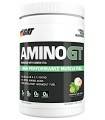 Amino GT de Gat 300 gramos