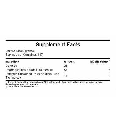 Glutamine 500g Dymatize glutamina