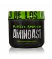 Amino Ast de Puro Campeon Aminoacidos