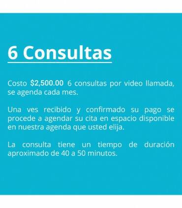 Paquete de 6 meses de consultas por Videollamada