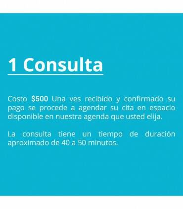 1 Consulta Individual por Video Llamada