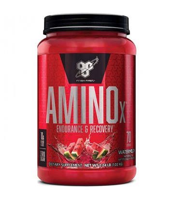 Amino X 70 Servicios BSN