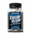 Trib 650 dymatize