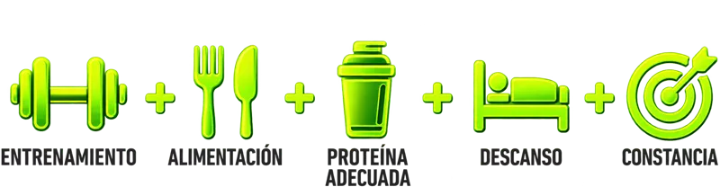 Entrenamiento + Alimentación + Proteína adecuada + Descanso + Constancia