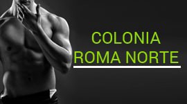 Colonia Roma Norte Colonia Roma Norte