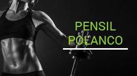Pensil Polanco Pensil Polanco